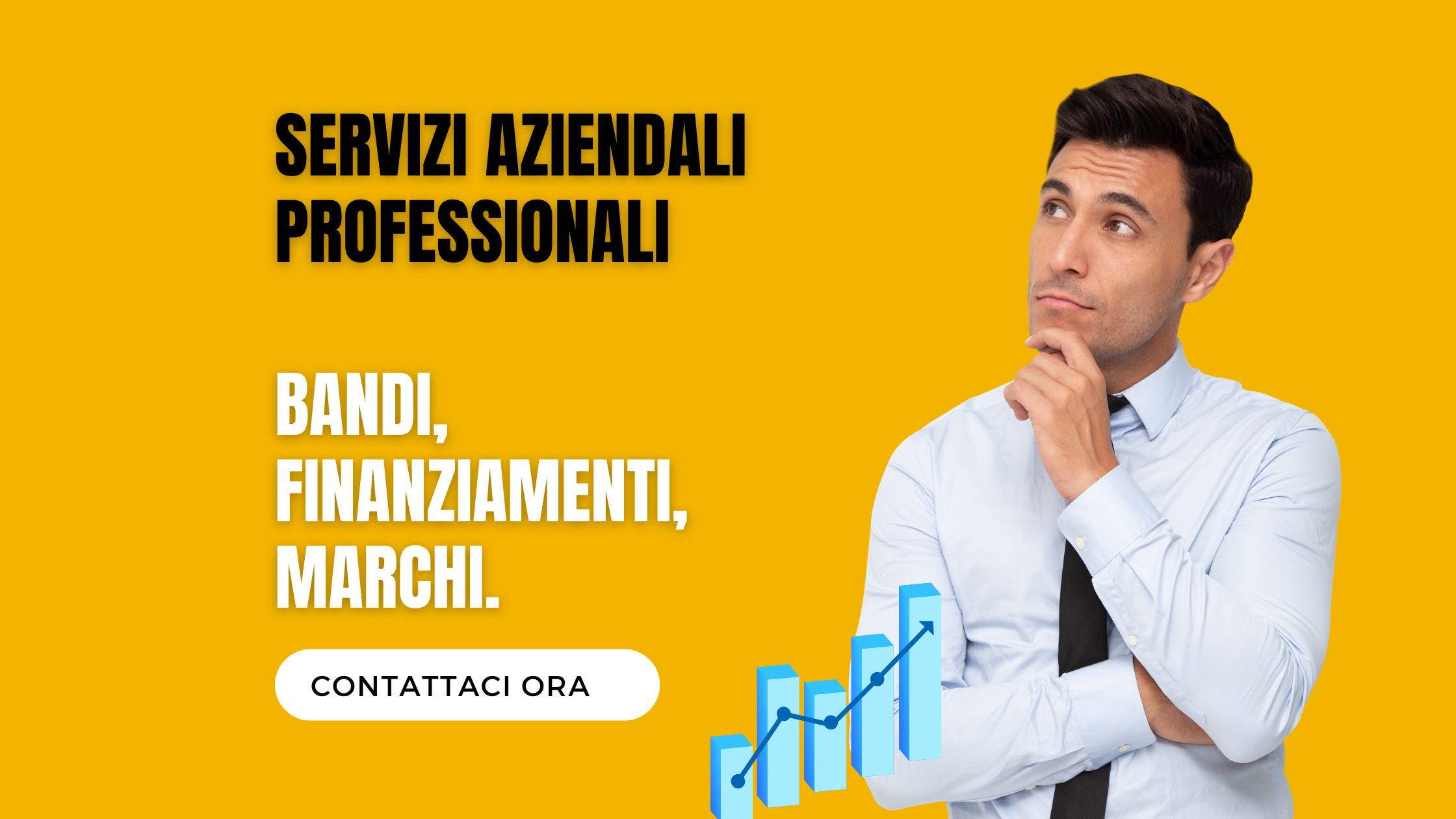 Servizi aziendali professionali